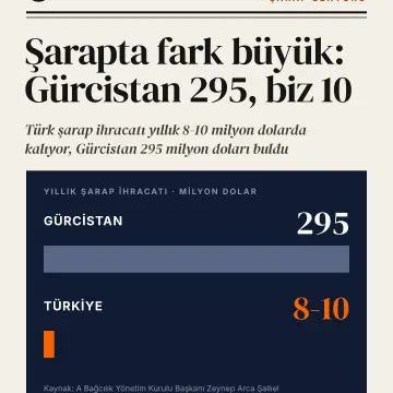 🚨 Şarap sevenler ve ihracat verisini merak eden herkes dikkat: Aynı yıl yola çıkan iki ülke arasında 295 milyo