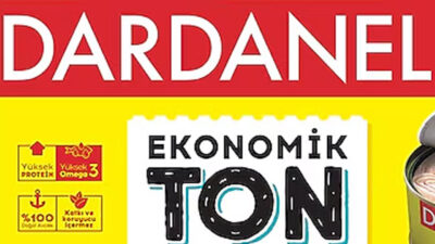 Dardanel'in hakim ortağı Niyazi Önen Holding, yüzde 17.06 oranındaki payı