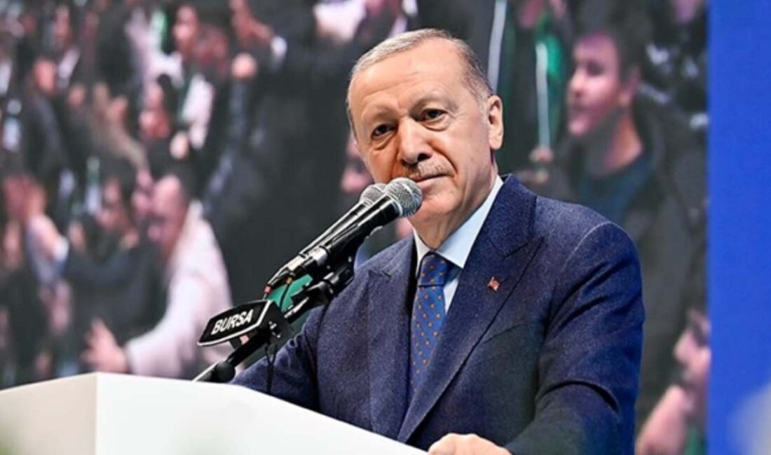 Cumhurbaşkanı Erdoğan, yeni yıl dolayısıyla yayınladığı video mesajda 2025’te terörsüz