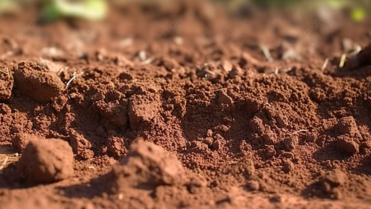 Türkiye'nin en sağlam zemini neresi?