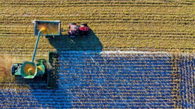 Tarım ve Orman Bakanlığı, kırsal kalkınmaya katkıda bulunmak ve köylerde