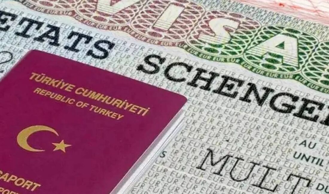 Avrupa Parlamentosu, Türk vatandaşların karşı karşıya kaldığı Schengen vizesi problemlerine